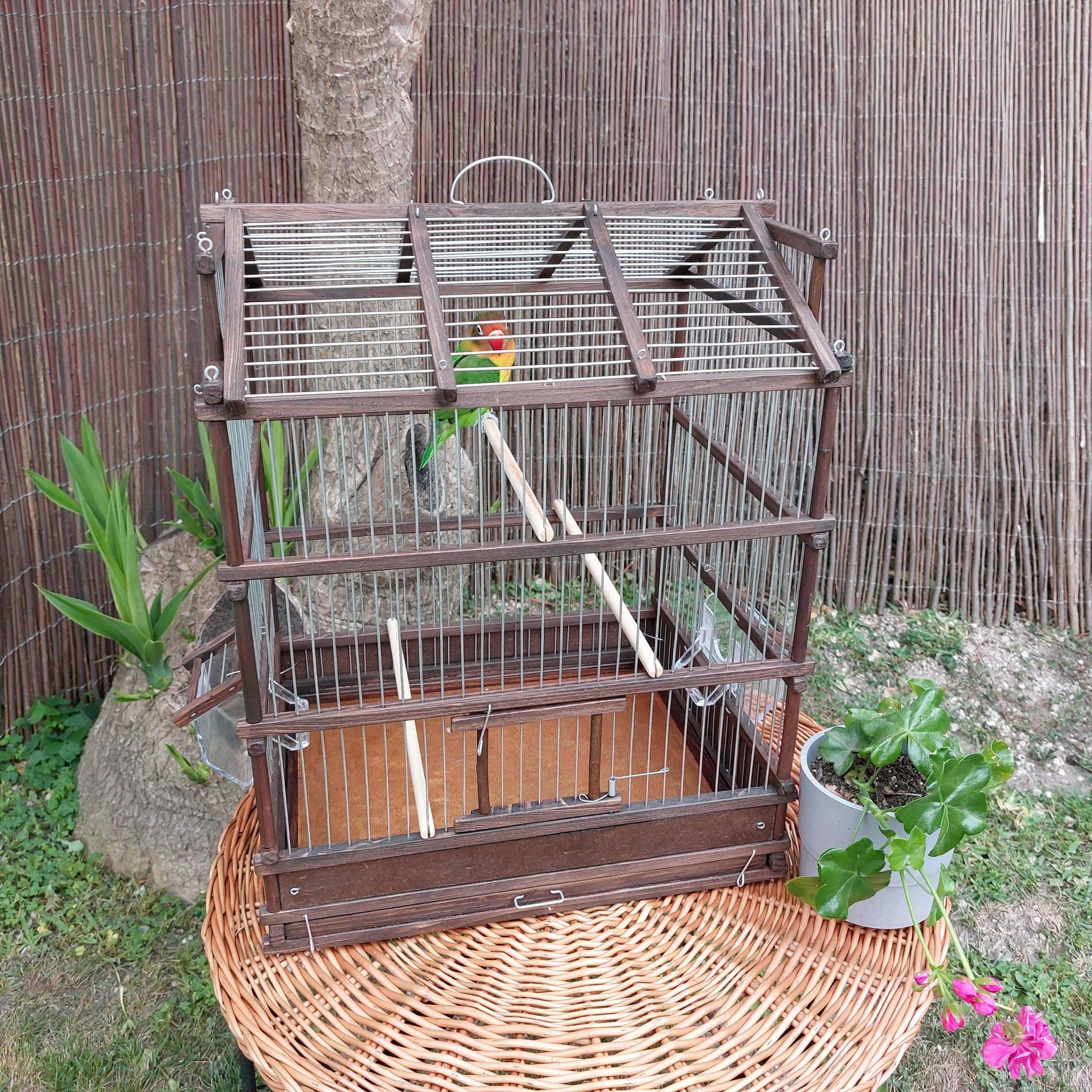 Classic Bird Cage Brown PadaWorks