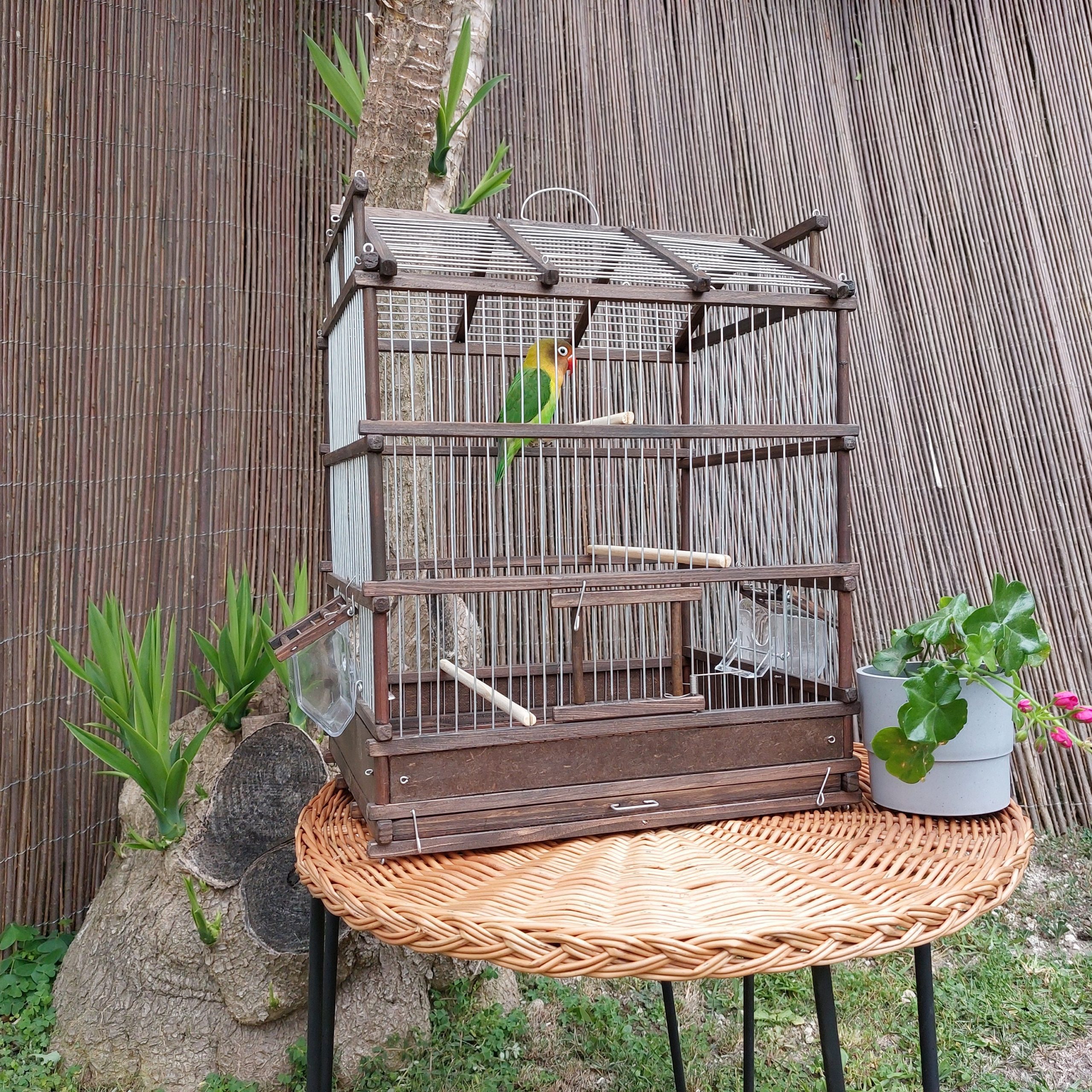 Classic Bird Cage Brown PadaWorks