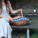 Wicker Picnic Basket - Oval Blue - Medium