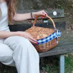 Wicker Picnic Basket - Oval Blue - Medium
