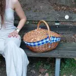 Wicker Picnic Basket - Oval Blue - Medium