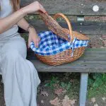 Wicker Picnic Basket - Oval Blue - Medium