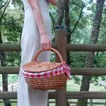 Wicker Picnic Basket - Oval Red - Medium