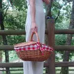 Wicker Picnic Basket - Oval Red - Medium
