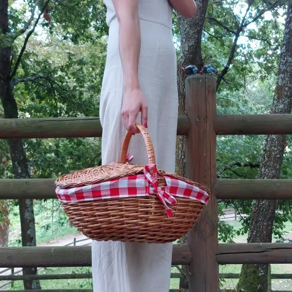 Wicker Picnic Basket - Oval Red - Medium