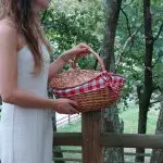 Wicker Picnic Basket - Oval Red - Medium