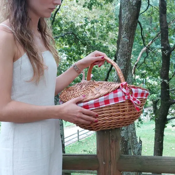 Wicker Picnic Basket - Oval Red - Medium