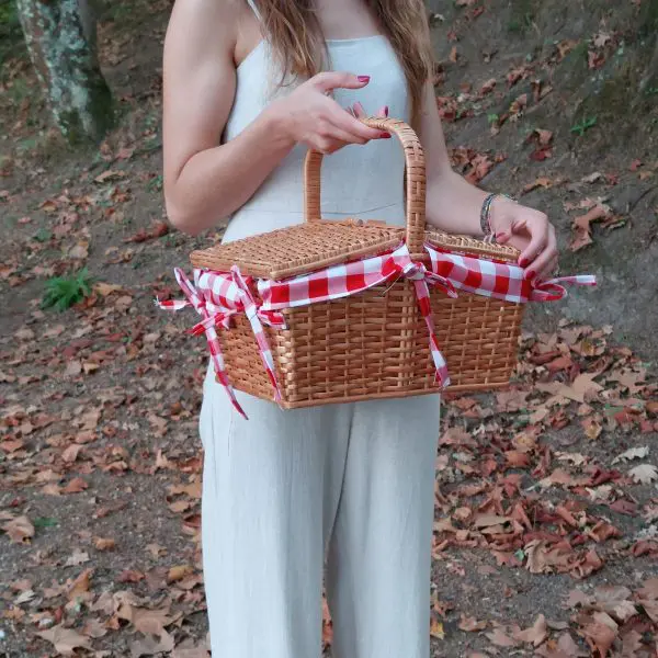 Wicker Picnic Basket - Red - Small