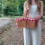 Wicker Picnic Basket - Red - Small