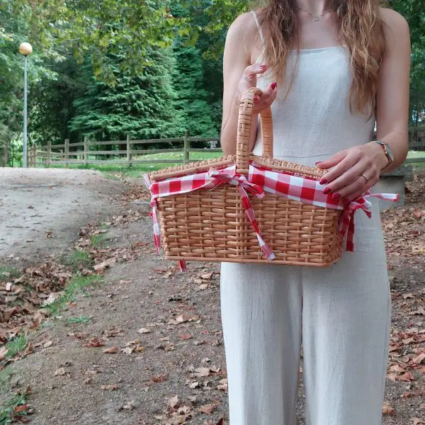 Wicker Picnic Basket - Red - Small