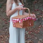 Wicker Picnic Basket - Red - Small