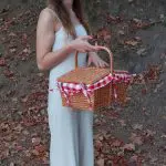 Wicker Picnic Basket - Red - Small