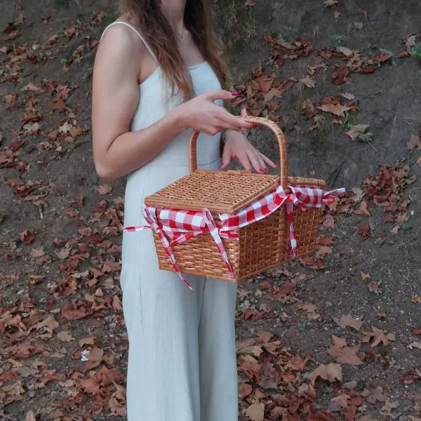 Wicker Picnic Basket - Red - Small
