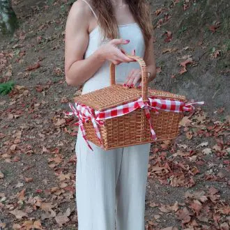 picnic basket with lid
