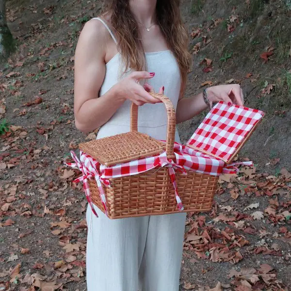Wicker Picnic Basket - Red - Small