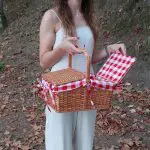 Wicker Picnic Basket - Red - Small