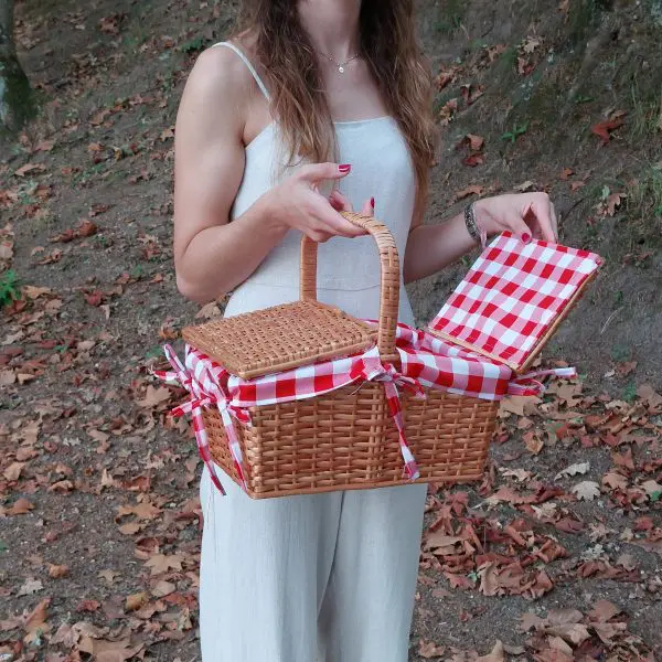 Wicker Picnic Basket - Red - Small