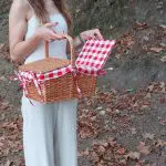 Wicker Picnic Basket - Red - Small