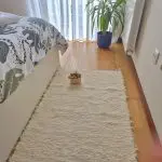 Medium Cream Rug - 70x140cm - Soft Rug