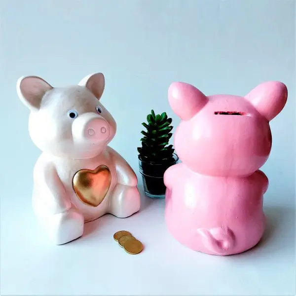 Ceramic Piggy Bank