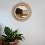 Straw Mirror