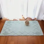Small Light Sky Blue Rug - Knotted Rug