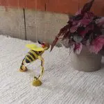 Marionette Bee