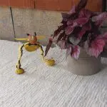 Marionette Bee