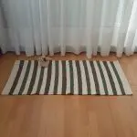 Small Green Cream Rug - 60x120cm - Ring Line Rug