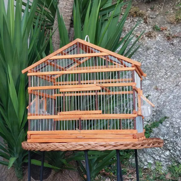 Wooden Bird House