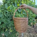 Round Wicker Basket Bag 23 cm