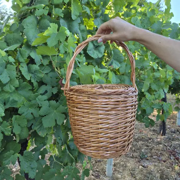 Round Wicker Basket Bag 23 cm