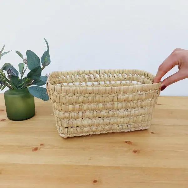 Medium Palm Basket