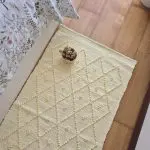 Medium Soft Pastel Yellow Rug - 70x140cm - Knotted Rug