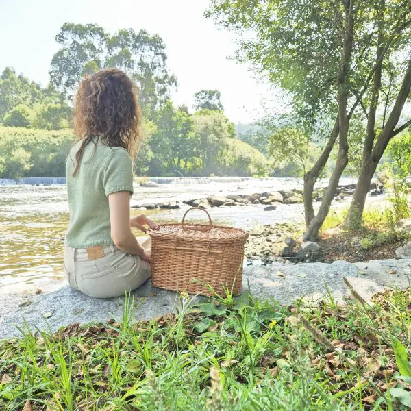 Large Picnic Basket