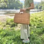 Wicker Hand Bag - Suitcase Style