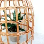 Garden Cloche For Plants