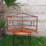 Corner Wooden Bird Cage