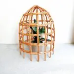 Garden Cloche For Plants