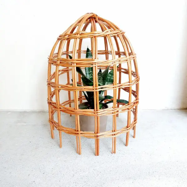 Garden Cloche For Plants