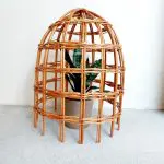 Garden Cloche For Plants