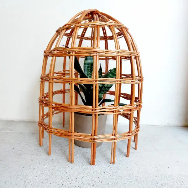 Garden Cloche For Plants