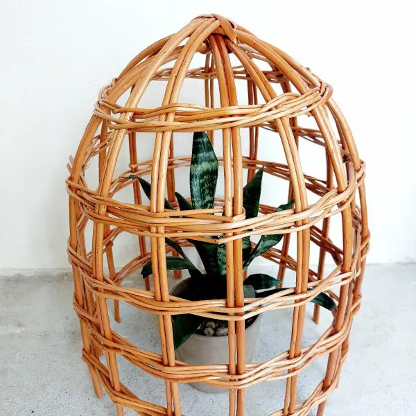 Garden Cloche For Plants