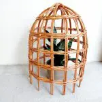 Garden Cloche For Plants