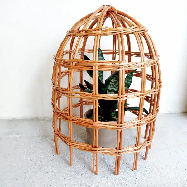 Garden Cloche For Plants