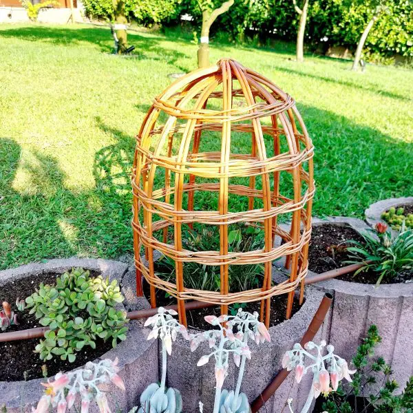 Garden Cloche For Plants
