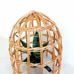 Garden Cloche For Plants