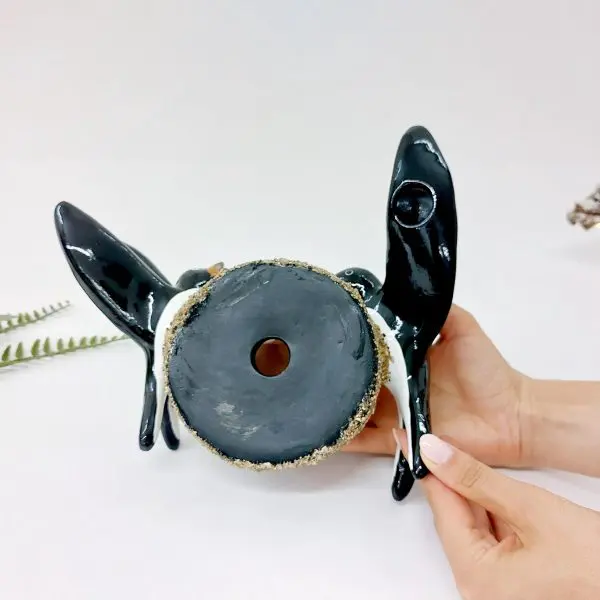 Glazed Swallows with Nest and Offspring