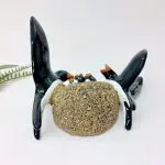 Glazed Swallows with Nest and Offspring