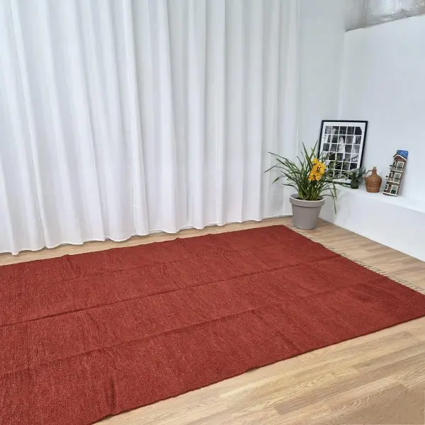 Extra Large Terracotta Rug - 200x300cm - Ring Line Rug